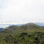 Parque Nacional Altos de Campana: naturaleza a un paso de Bayside